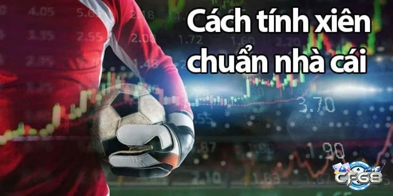 Cách tính kèo cược xiên bóng đá chi tiết và chuẩn nhất từ các chuyên gia anh em nên tham khảo