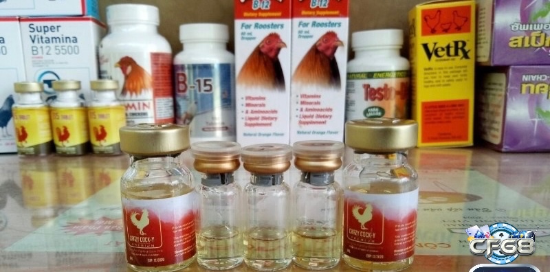 Một số loại thuốc gà đá phổ biến nhất hiện nay anh em nên tham khảo