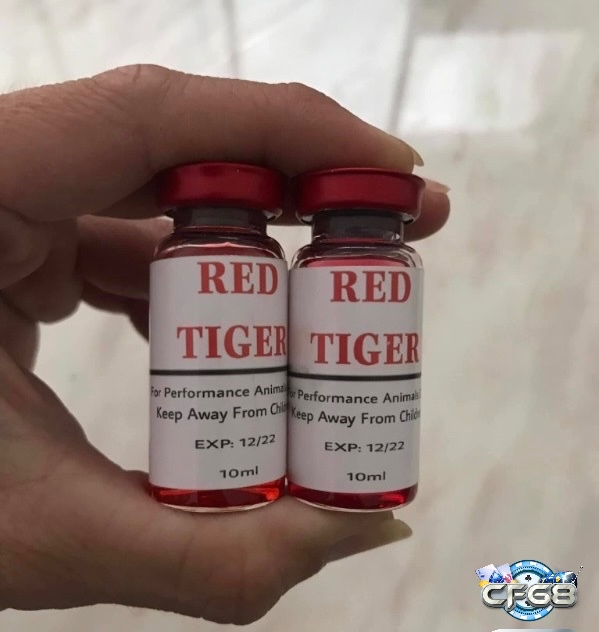Red Tiger giúp cho chiến kê tăng bo kết hợp phục hồi nhanh sau trận