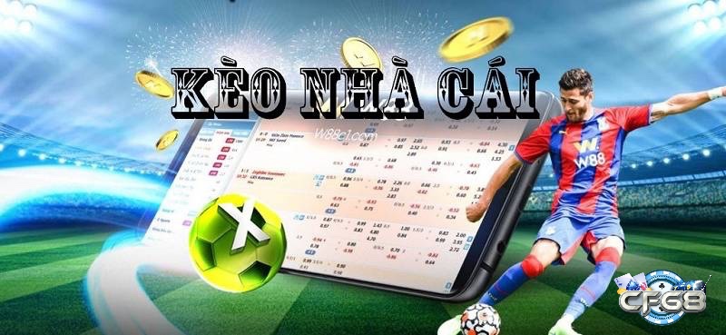 Ví dụ cụ thể về tỷ lệ cược thập phân giúp người chơi hình dung rõ ràng cách tính tiền thắng.