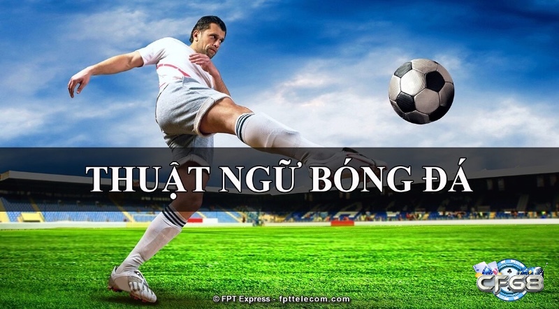 Cách đọc và phân biệt các cách tính tài xỉu bóng đá cơ bản: chẵn, lẻ, nửa trái.