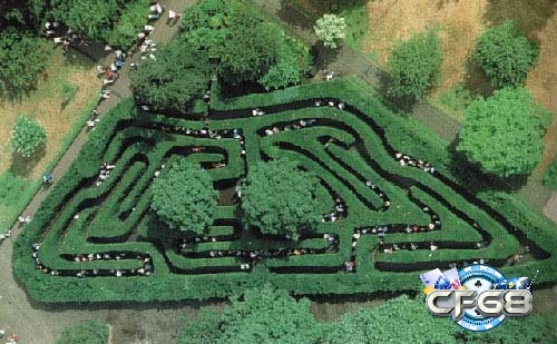 Giải mã giấc mơ chạy trốn và lạc trong mê cung là biểu thị của sự mờ hồ