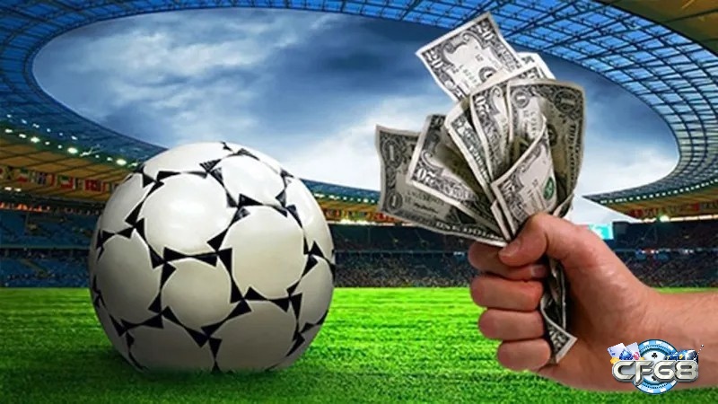 Chọn thời điểm trước trận hoặc live bet giúp tăng cơ hội, tận dụng biến động tỷ lệ và diễn biến thực tế