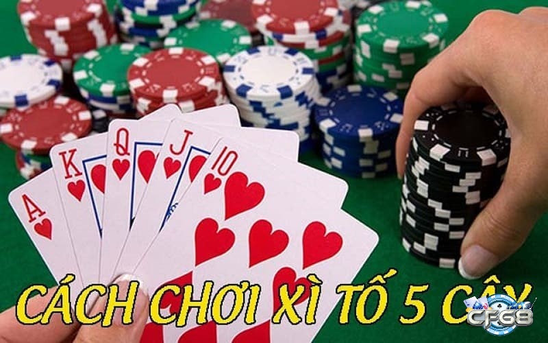 Mọi ván xì tố 5 lá khởi đầu với vị trí dealer, tiền cược ban đầu và sự hồi hộp khi nhận 5 lá bài đầu tiên