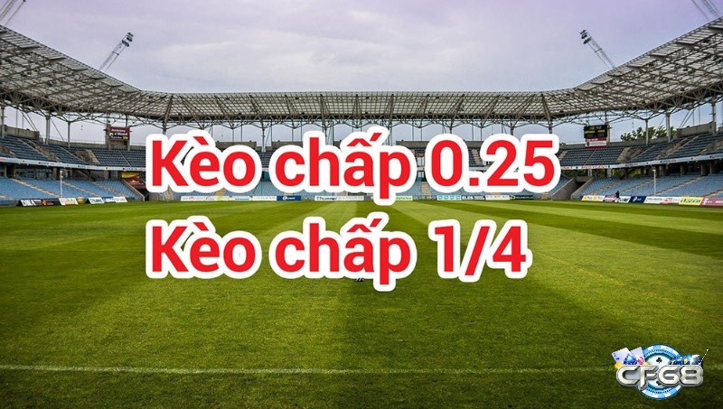 Xác định cửa trên và cửa dưới dựa vào số chấp, vị trí và tỷ lệ cược