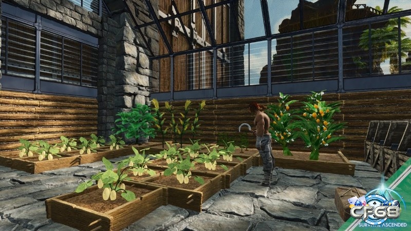 Một buổi farm bình yên trên PvE giúp bạn cảm nhận thế giới tốt hơn