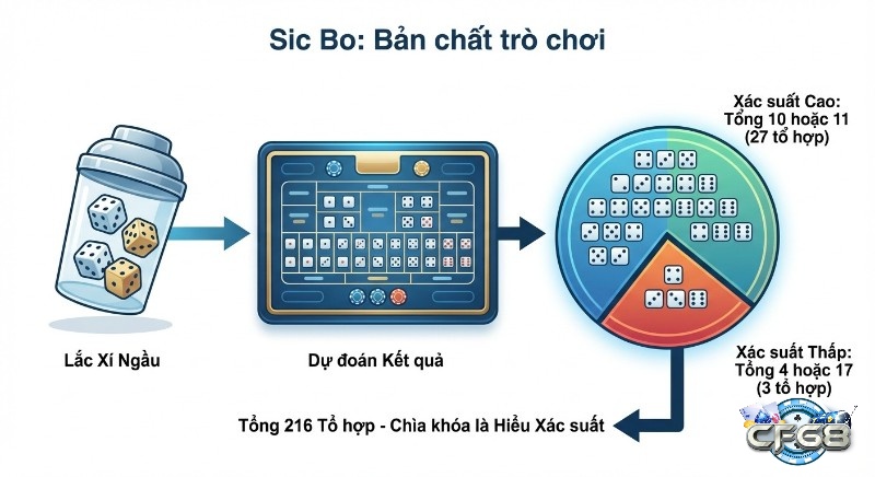 Quy trình bản chất Sic Bo: Từ lắc xí ngầu, dự đoán kết quả đến phân tích 216 tổ hợp xác suất