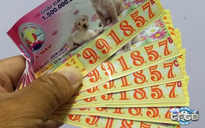 Giải mã giấc mơ thấy xổ số đánh con gì và các điềm báo liên quan